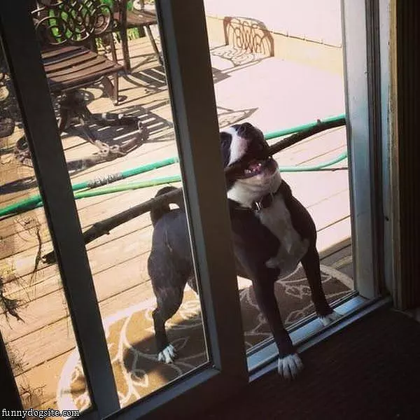 I Dont Fit