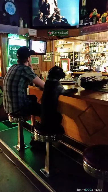 Chillin At The Bar