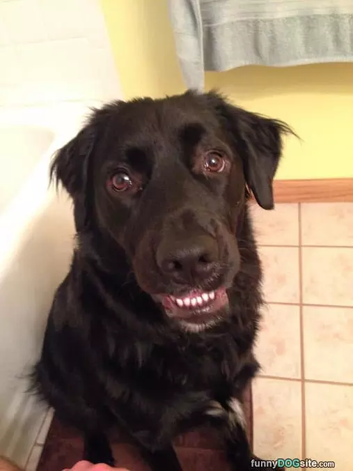Nice Smile
