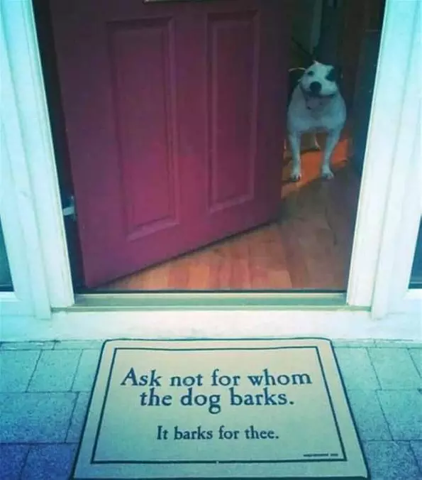 Ask Not For Who The Dog Barks