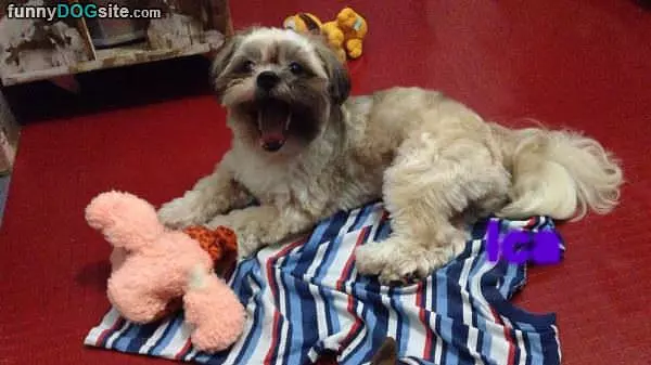 Big Yawn