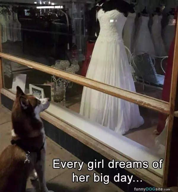 Every Girl Dreams Of Her Big Day