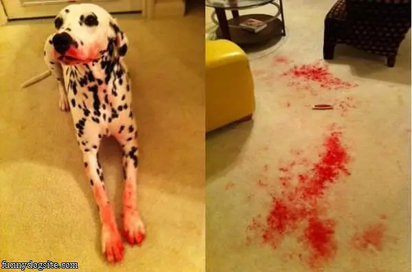 Ate Your Lipstick