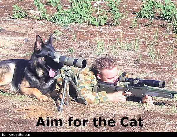 Get The Cat