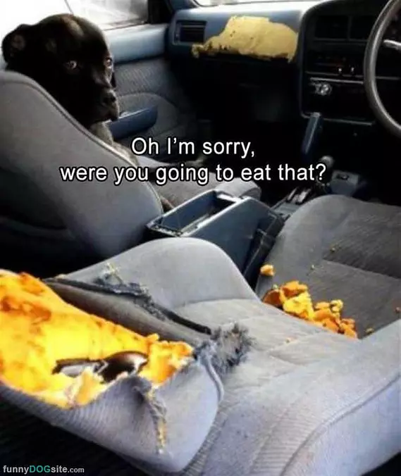 Were You Going To Eat It