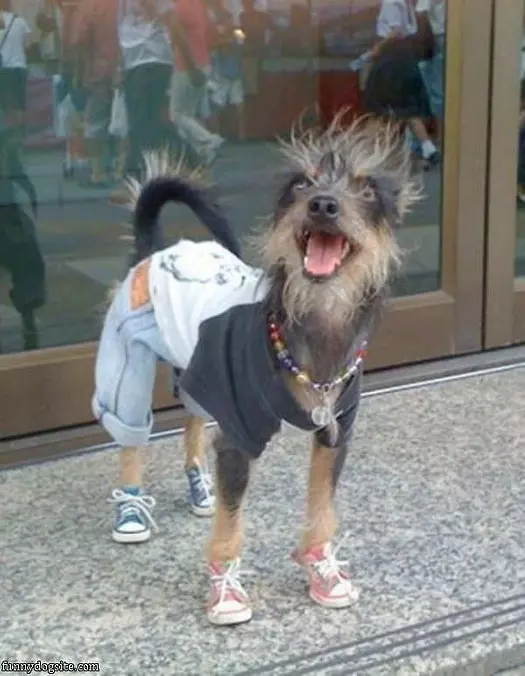 All Dressed For Fun