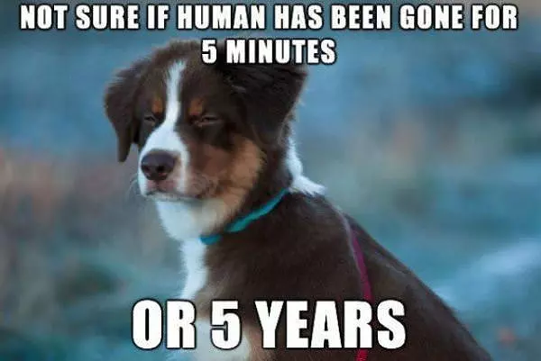 Not Sure