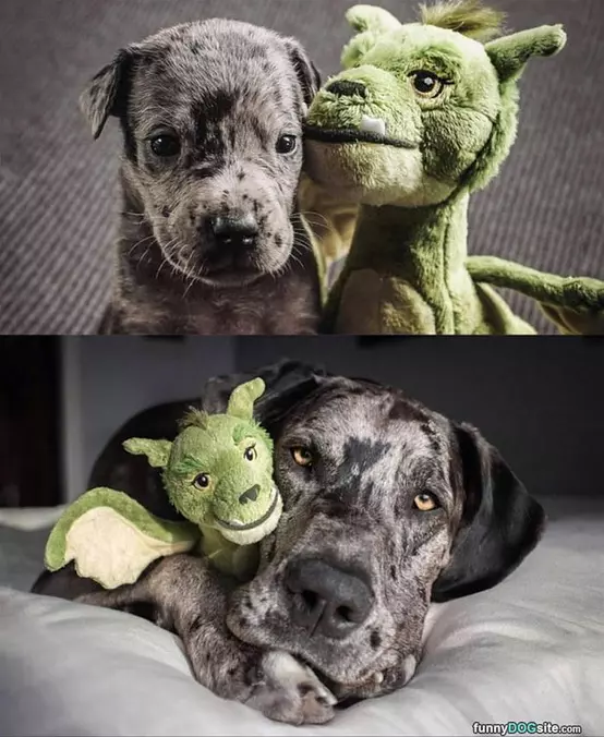 All Grown Up Now