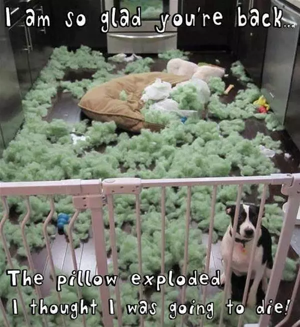 So Glad Your Back