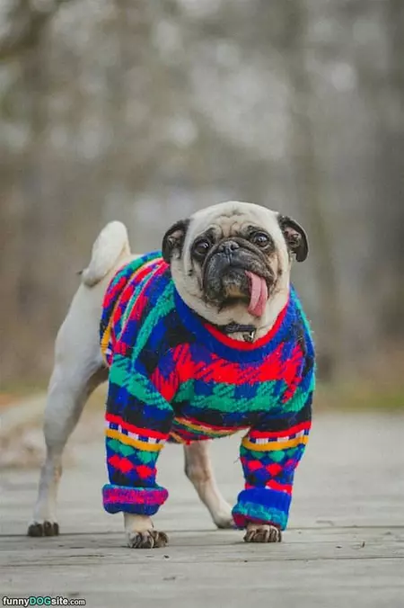 Got A New Sweater
