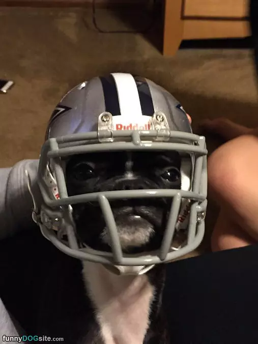 Ready For Some Football