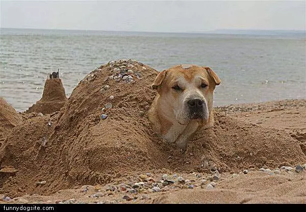 Buried In The Sand