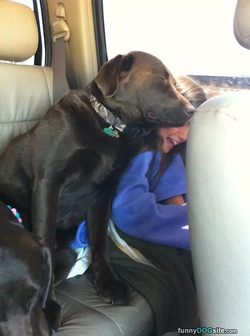 Love Long Road Trips