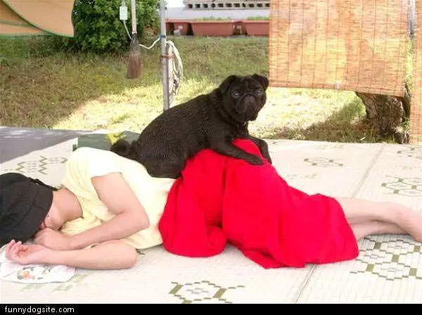 I Sleep Here
