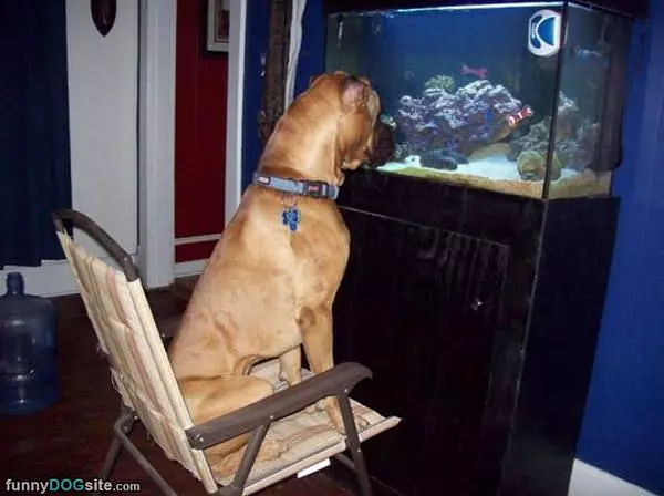 A Front Row Seat