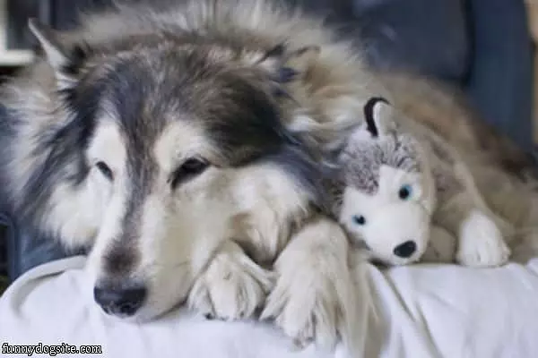 Me And The Stuffed Animal