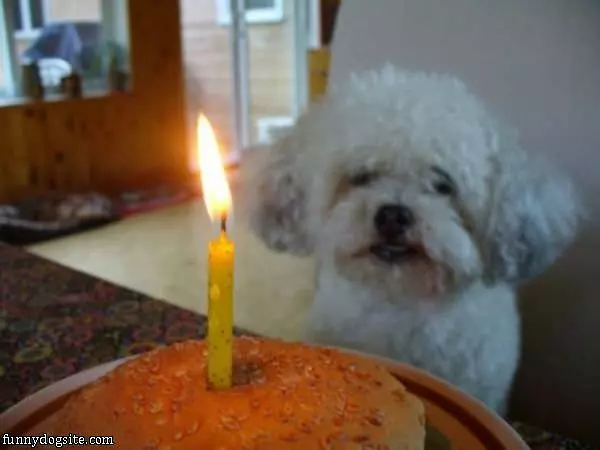 Its My Birthday