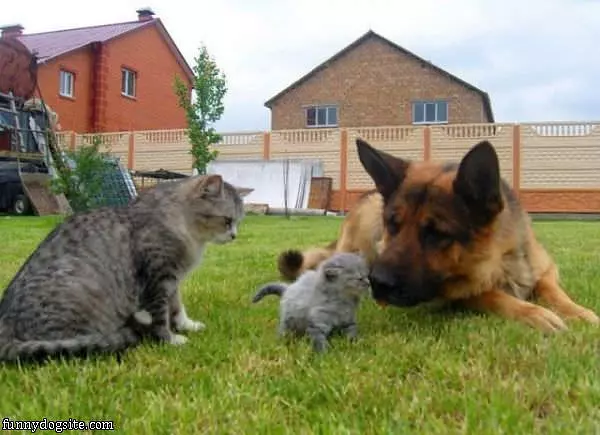 Nice To Meet You