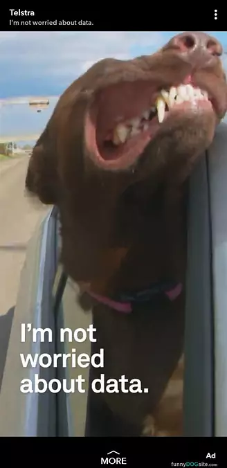 Not Worried
