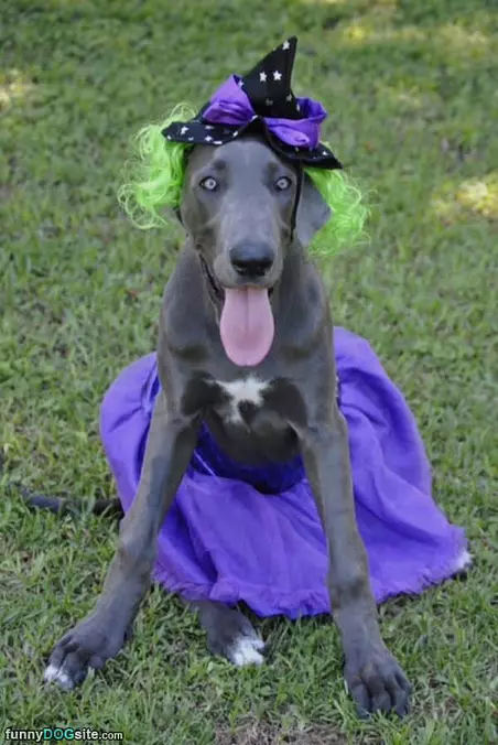 Ready For Halloween