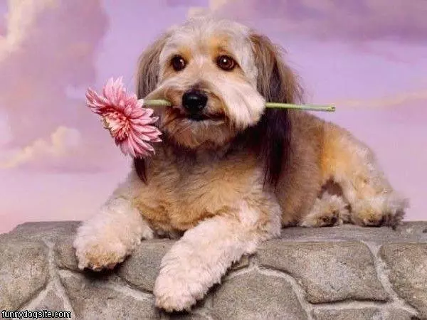 Its For You