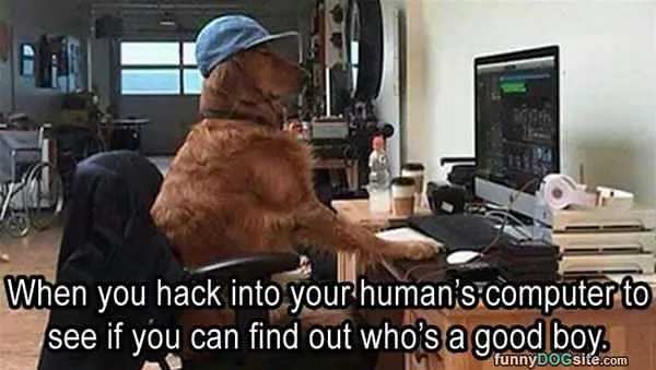 Whos A Good Boy