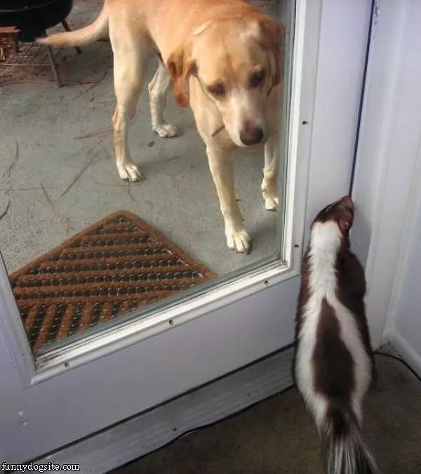 Let Me In Man