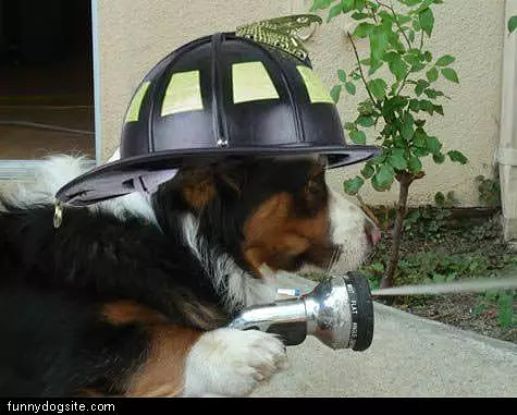 Firefighter