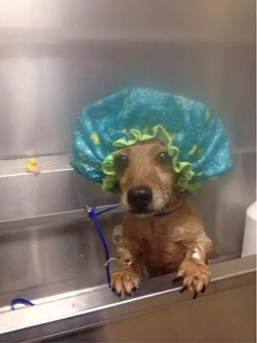 I Love Me Some Bath Time
