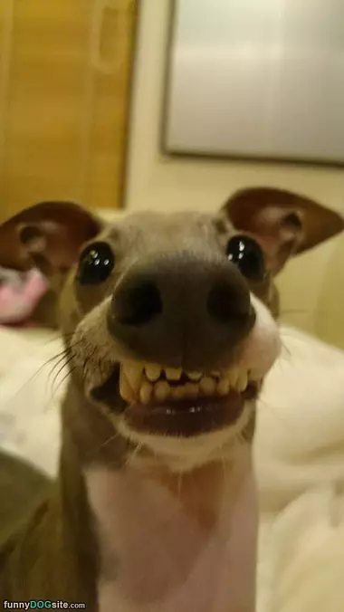 Huh