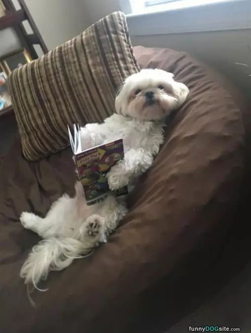 This Is My Favorite Book