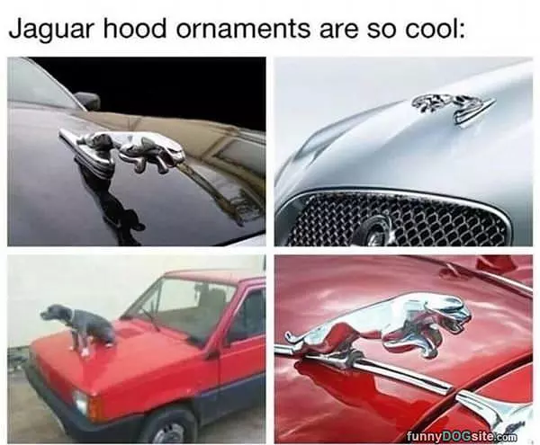 They Are So Cool