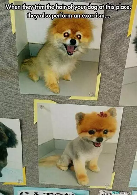 When They Trim Your Hair Here