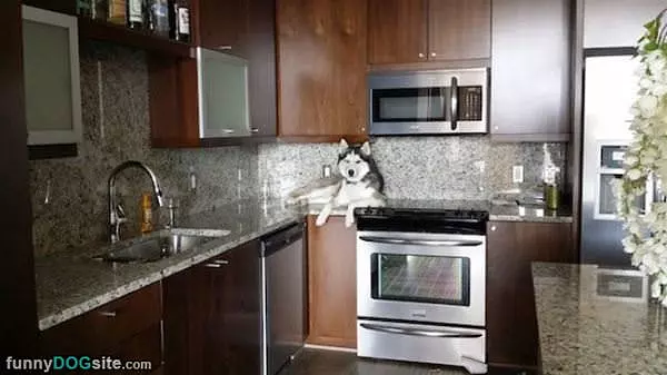 On The Counter