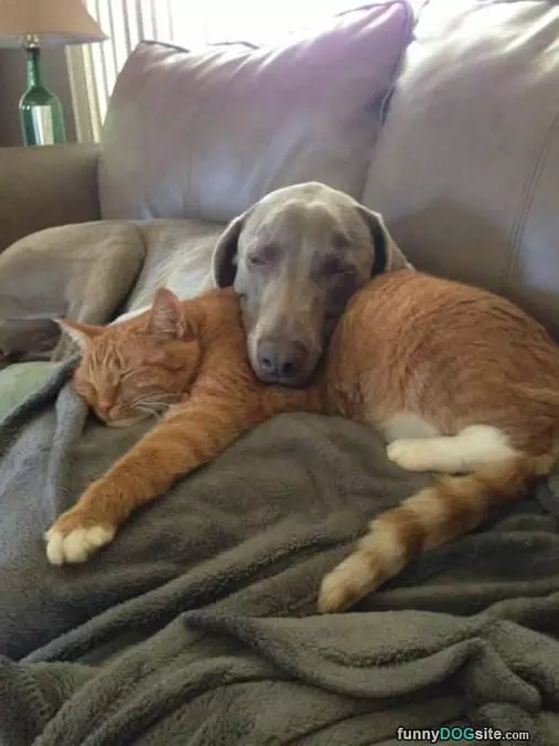 Staying So Warm