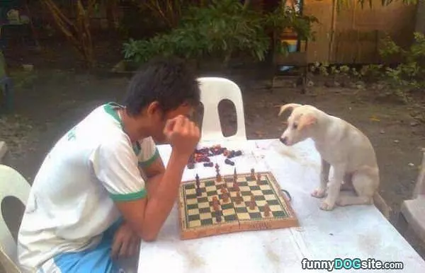 Tough Matchup