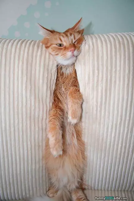 Chillin In The Couch