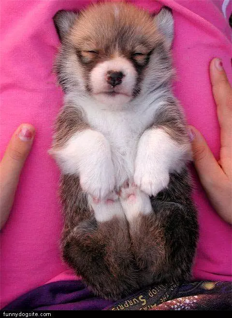 Peaceful Sleep