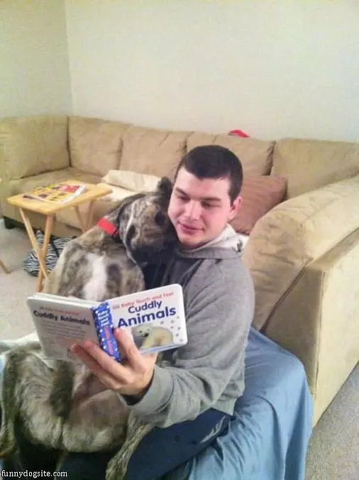 Cuddly Animals