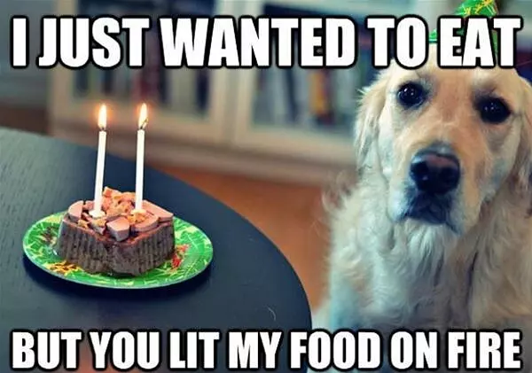 I Just Want To Eat