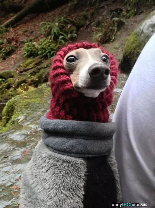 All Bundled Up