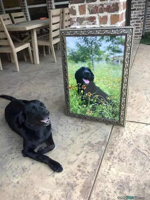 A Nice Painting