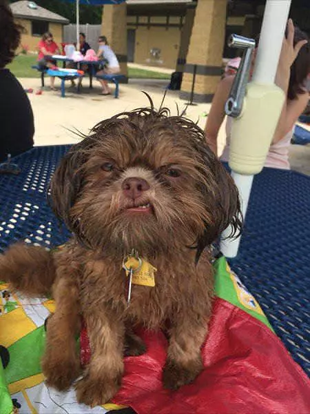 Nommm Nom Nom