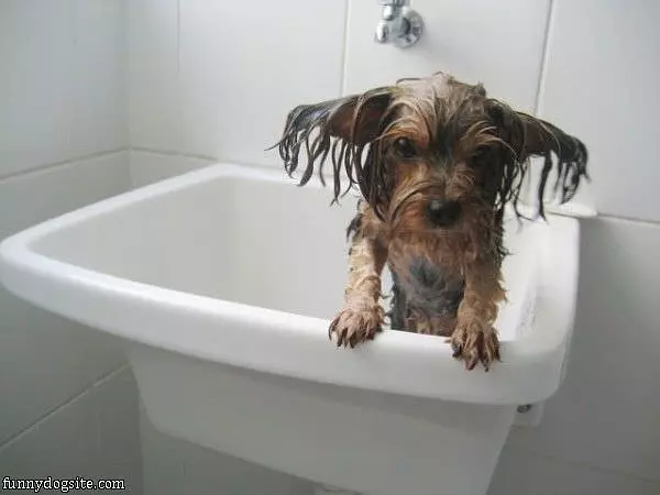 Bath Time