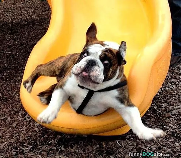 Sliding Down