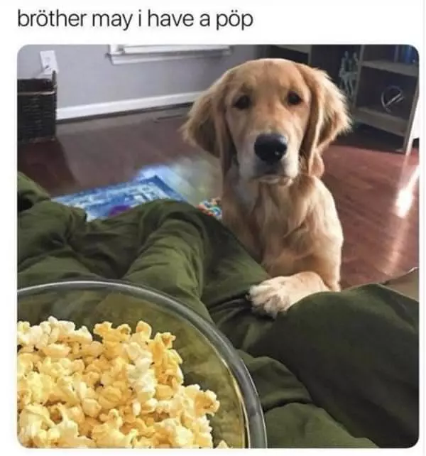 May I Have A Pop