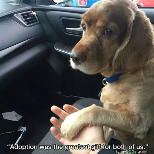 The Greatest Gift