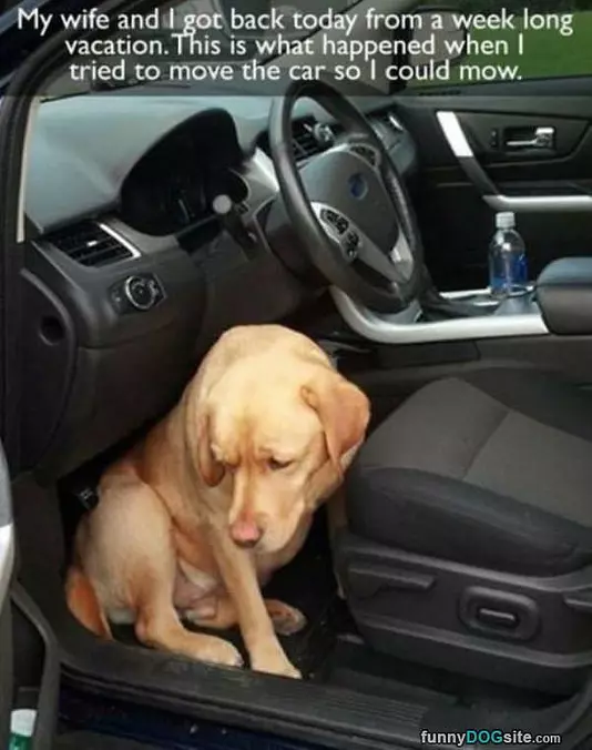 Dont Leave Me Again