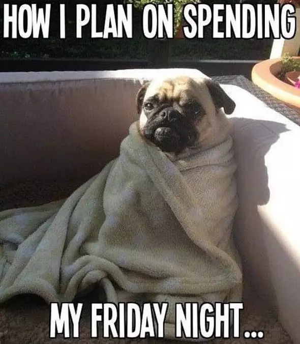 My Friday Night