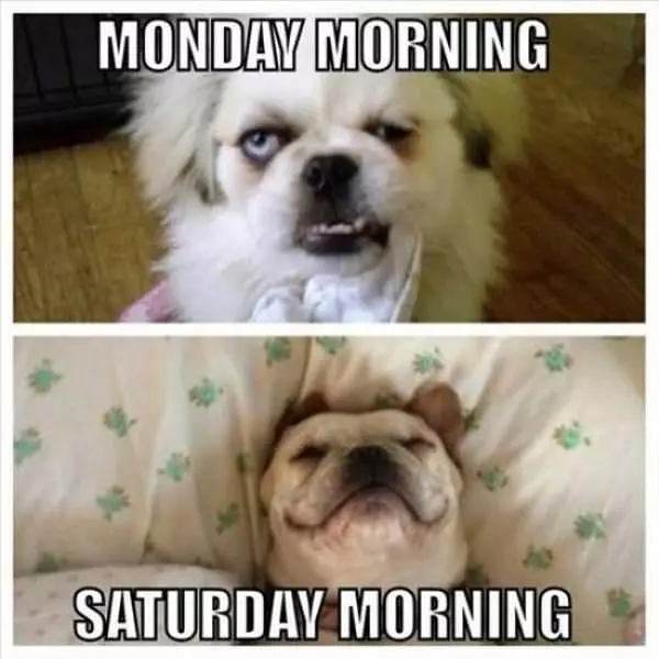 Mondays Vs Saturdays